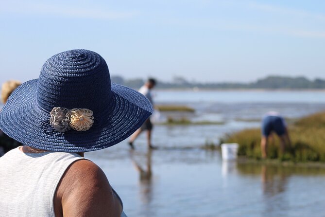Moliceiro boat trip, with experience in bivalves harvesting - Practical Tips Before You Go (So the Hands-On Part Feels Good)