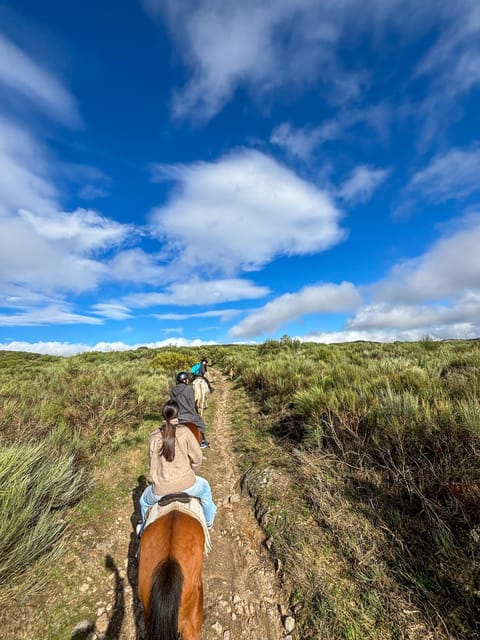 Mountain Horseback Ride & Lunch - Wine tasting for 100 minutes at a family-run estate