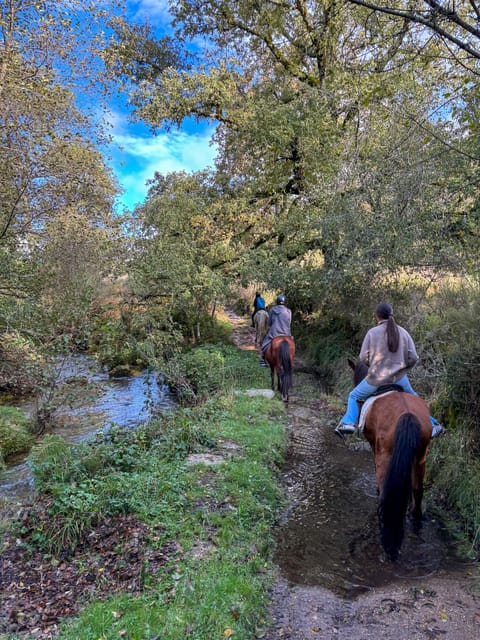 Mountain Horseback Ride & Lunch - Weather reality in the Douro, rain and sun included