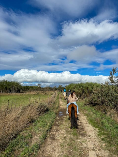 Mountain Horseback Ride & Lunch - Price and value for a $282, 7.5-hour countryside day