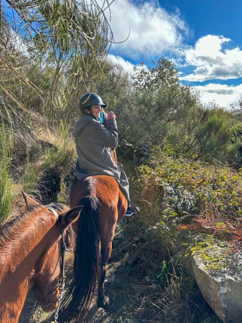 Mountain Horseback Ride & Lunch - Who should book this horseback plus lunch plus wine day