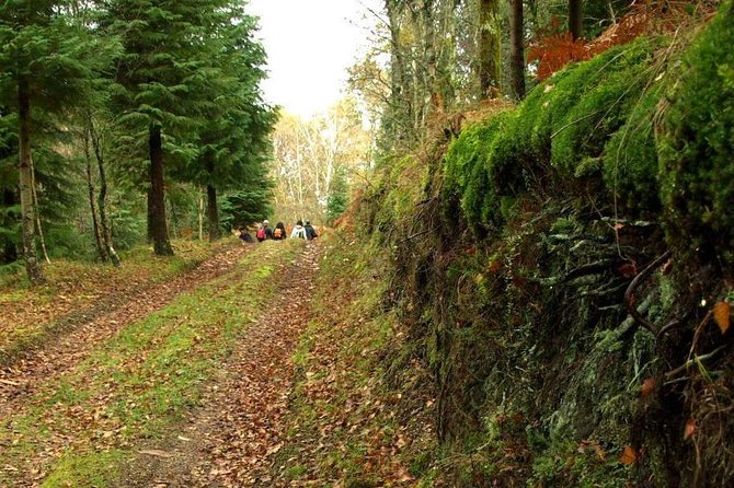 Nozzle Horn Protected Landscape Area - Riding out of Braga with a Tesla and a guide’s game plan