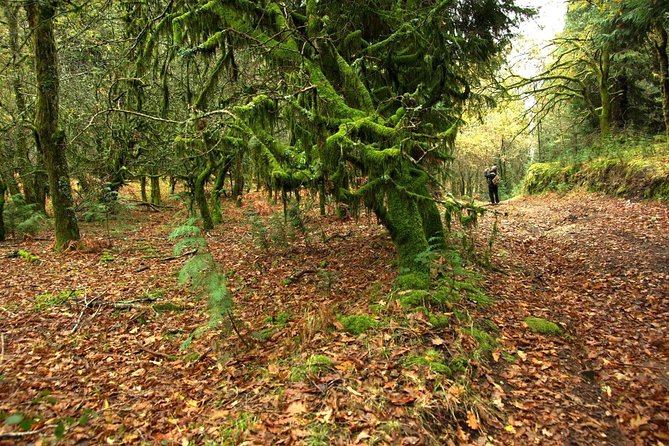 Nozzle Horn Protected Landscape Area - Who should book this tour, and who might skip it