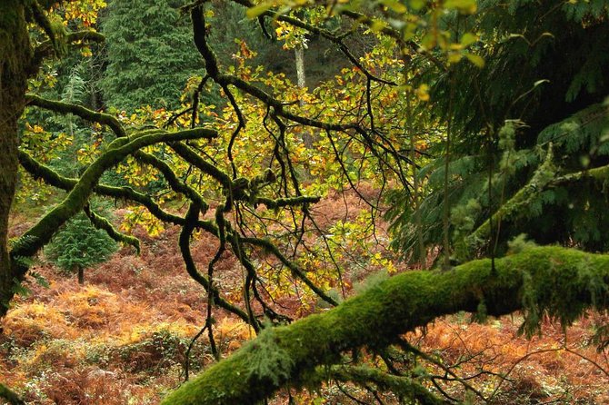 Nozzle Horn Protected Landscape Area - Should you book the Nozzle Horn Protected Landscape Area tour?