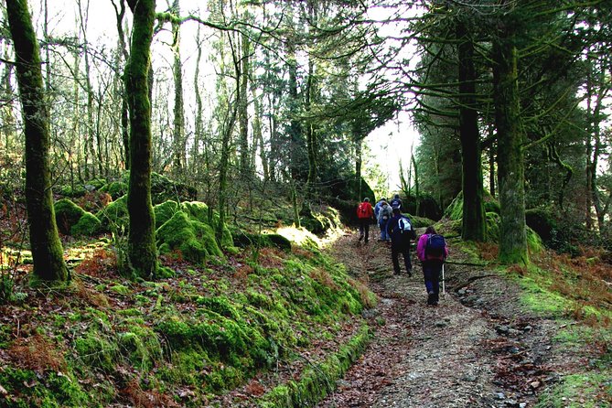Nozzle Horn Protected Landscape Area - Corno de Bico hike: oak forests, rounded boulders, and a satisfying route
