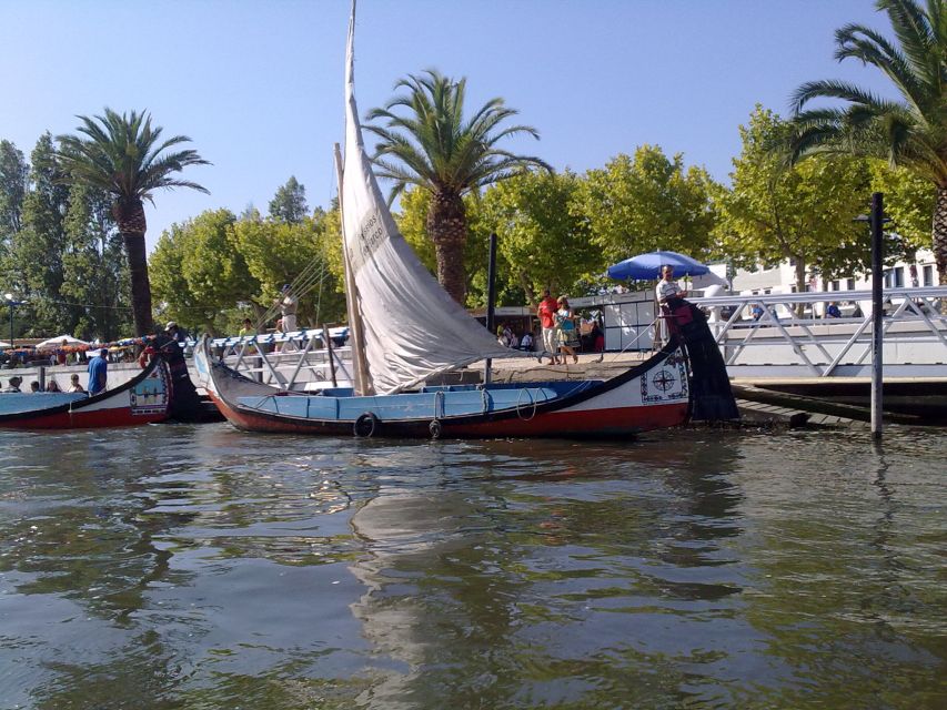 Panoramic Boat City Tour in Aveiro - Price and how the 45 minutes fits your day