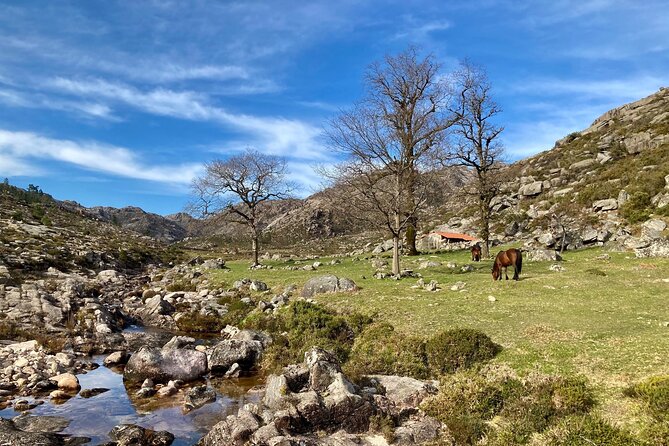 Peneda-Gerês Hiking & Sightseeing: Private Experience - Guide Power: Carlos and Samuel Make the Day Feel Personal