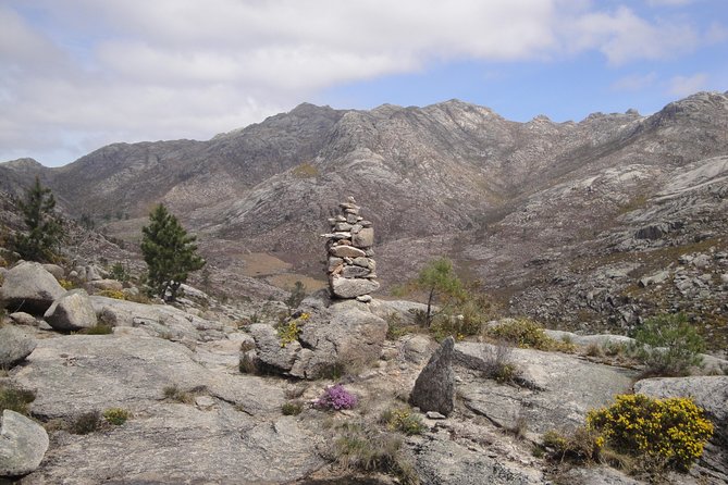 Peneda-Gerês National Park - Nature & Tastings - - Price and Value: Is 234.30 Per Person Fair for This Day?