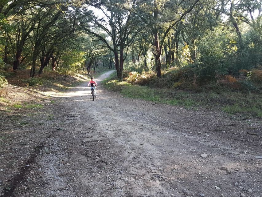 Peneda Gerês National Park: Self-Guided Electric Bike Tour - Why this Peneda-Gerês e-bike ride feels like smart travel