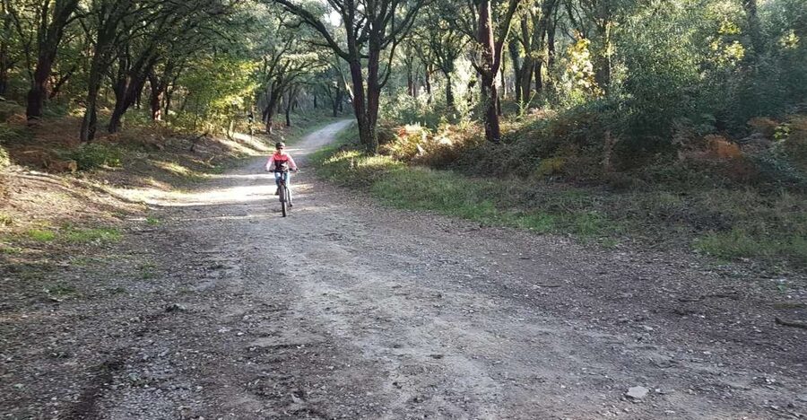Peneda Gerês National Park: Self-Guided Electric Bike Tour - The full route flow: Lima River, Ermelo, Soajo, then Lindoso