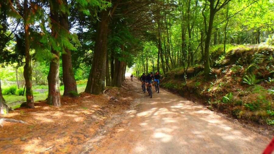 Peneda Gerês National Park: Self-Guided Electric Bike Tour - Soajo granaries: the stop that makes the ride feel uniquely Peneda-Gerês