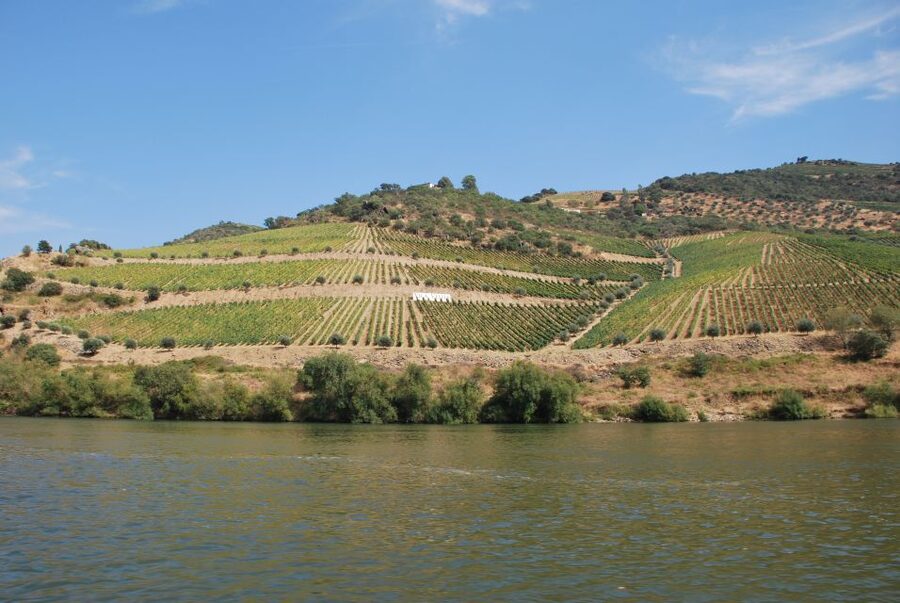 Pinhão: 2-Hour Rabelo Boat Tour with Audio Guide - The audio guide setup: Magnifico Douro app + your earphones