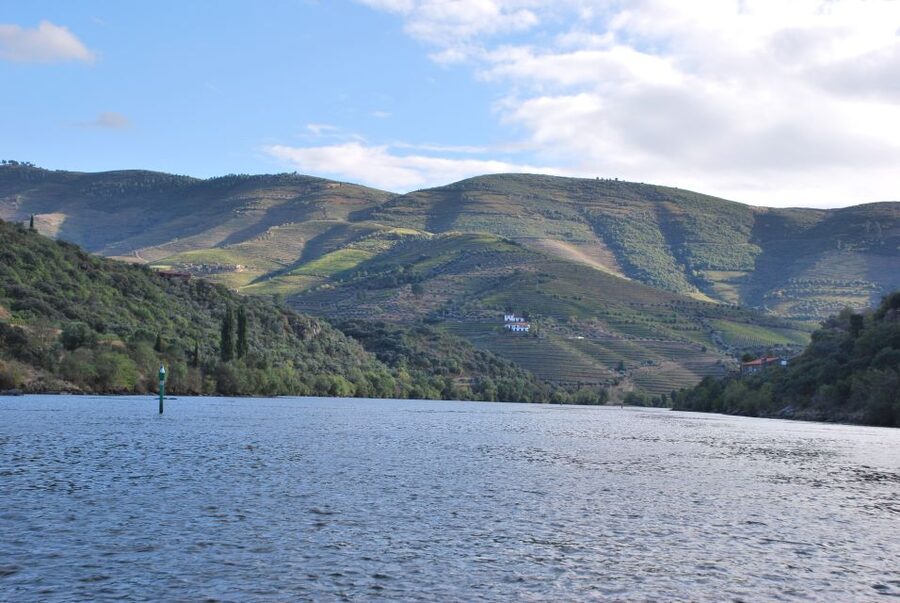 Pinhão: 2-Hour Rabelo Boat Tour with Audio Guide - Cruising upriver from Pinhão: Ponte do Pinhão to Foz Tua