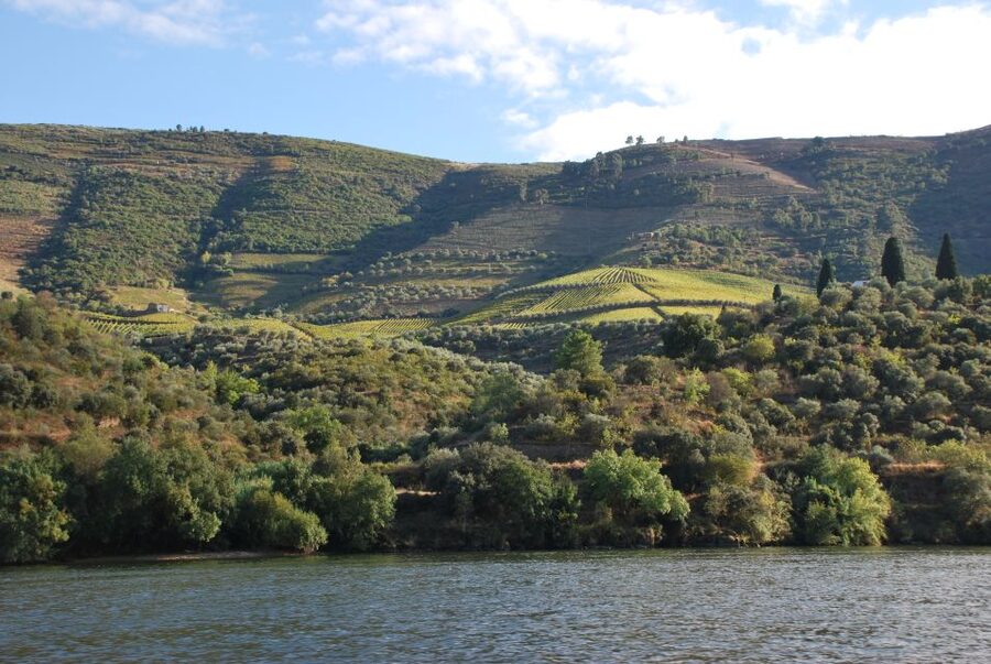 Pinhão: 2-Hour Rabelo Boat Tour with Audio Guide - Return cruise: Quinta de Roriz through Quinta das Carvalhas