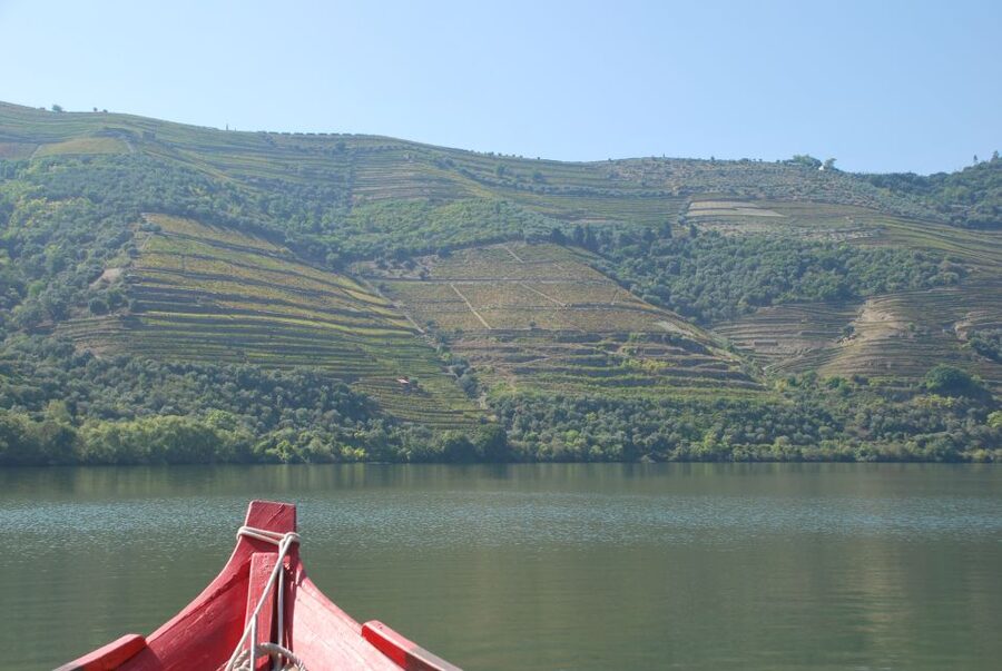 Pinhão: 2-Hour Rabelo Boat Tour with Audio Guide - Who should book this, and who should reconsider