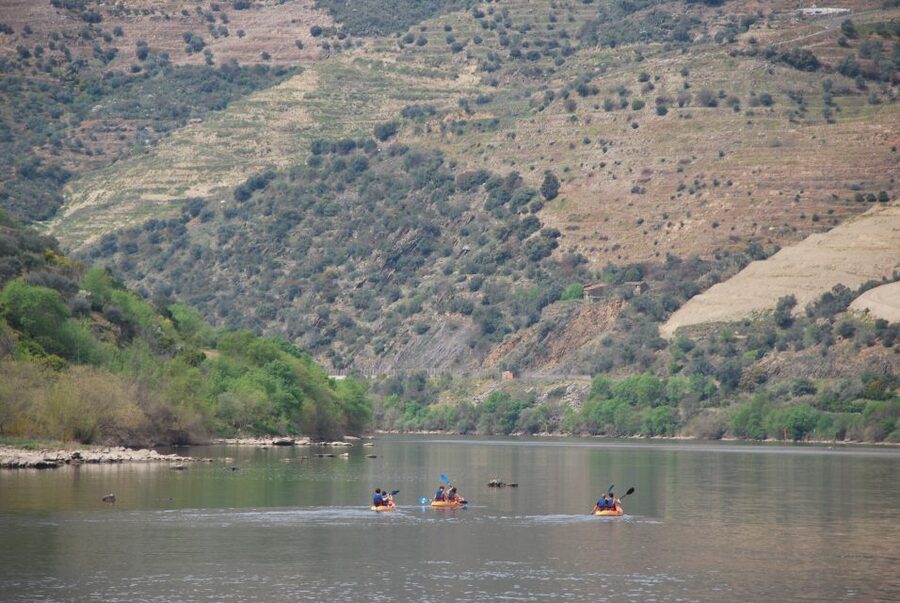 Pinhão: 4 Hour Douro Valley Kayak Rental - Comfort and Confidence Tips for First-Time Kayakers