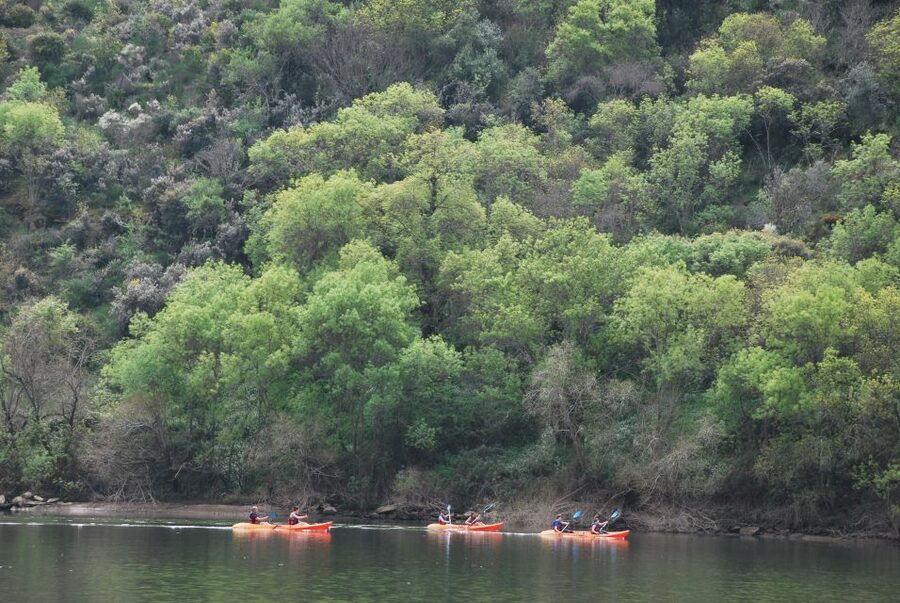 Pinhão: 4 Hour Douro Valley Kayak Rental - Finding Magnifico Douro Pier Near the Iron Bridge