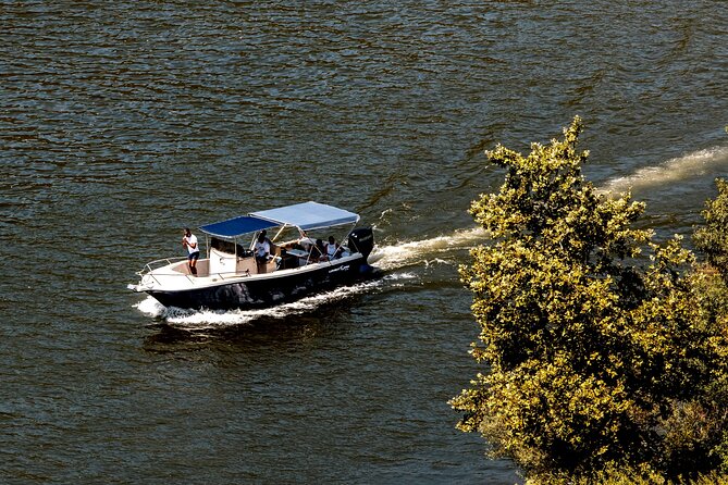 Pinhão: Douro River Cruise with Lunch Included - Why this Pinhão Douro combo makes sense