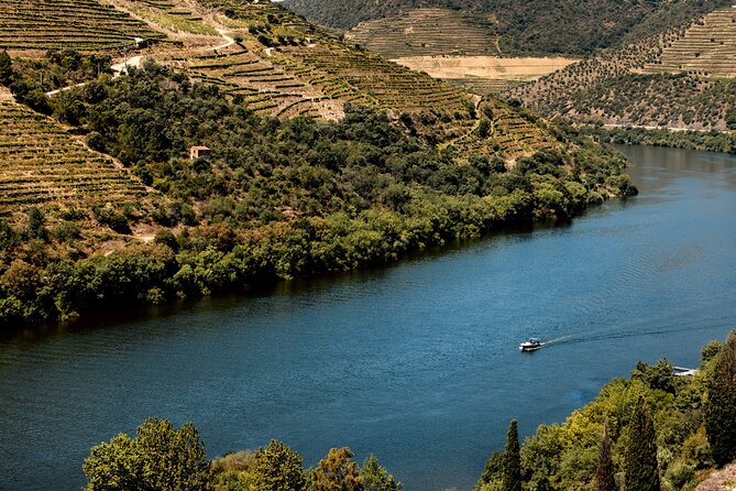 Pinhão: Douro River Cruise with Lunch Included - Lunch at a traditional restaurant: classic Douro dishes, and how to order smart
