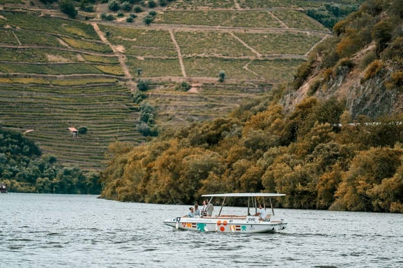 Pinhão: Douro River Solar Boat Tour with Wine Tasting - Who This Tour Suits Best (and Who Might Want a Different Option)