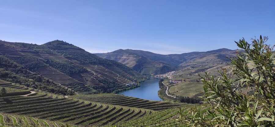 Pinhão: Douro Valley with Wine Tasting, Boat Trip and Lunch - Key highlights worth your attention