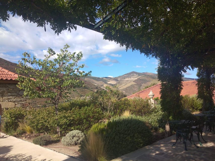 Pinhão: Douro Valley with Wine Tasting, Boat Trip and Lunch - The Finish: Pinhão Train Station Azulejos and a Viewpoint Stop