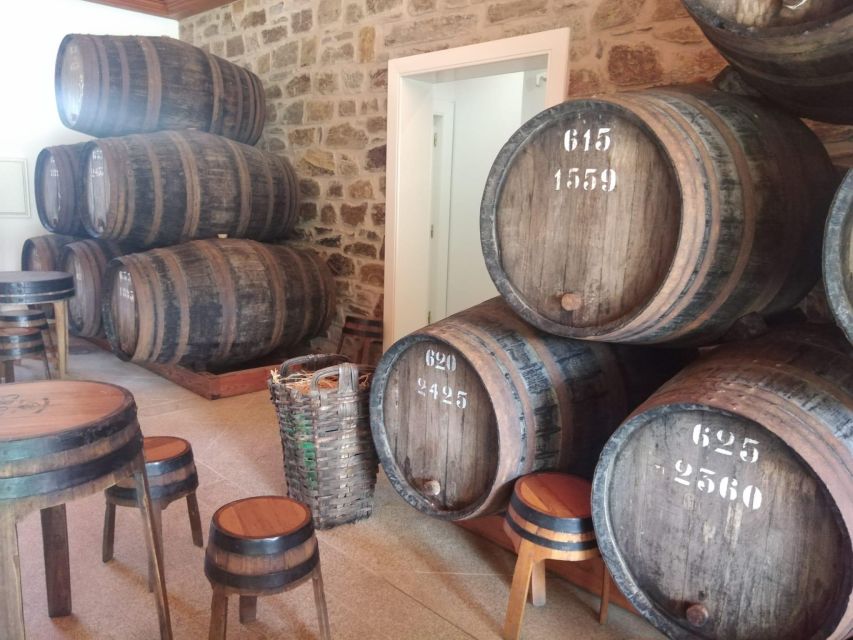 Pinhão: Douro Valley with Wine Tasting, Boat Trip and Lunch - How the Day Flows, and Where You Might Feel Rushed