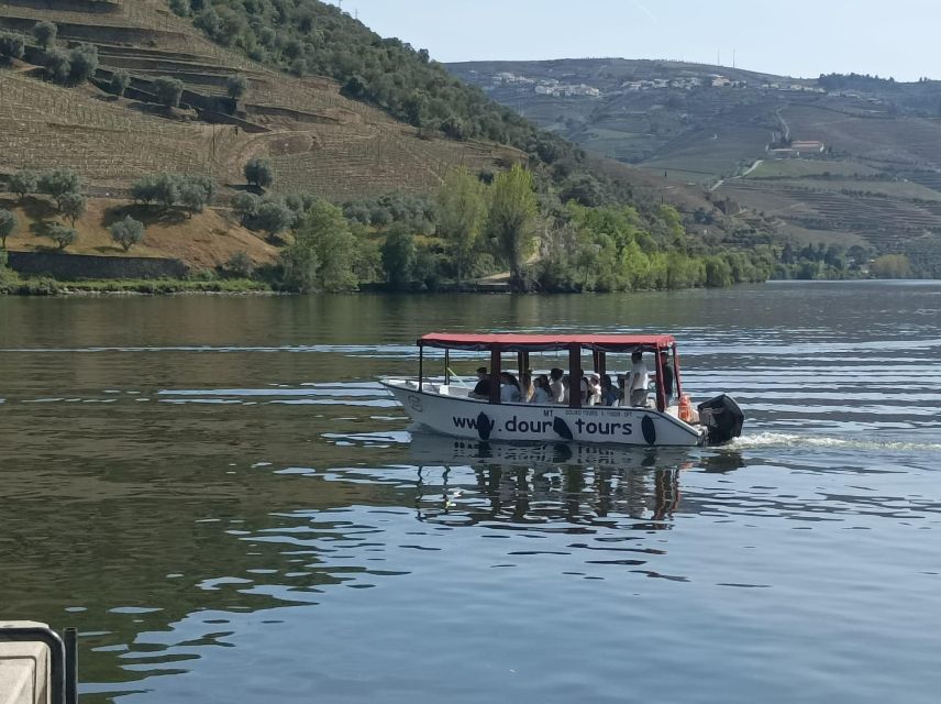 Pinhão: Douro Valley with Wine Tasting, Boat Trip and Lunch - Who Should Book This Douro Valley Day from Pinhão