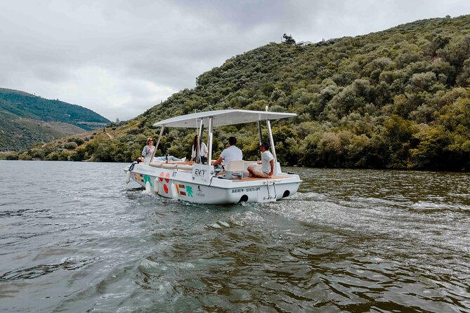 Pinhão: Electric Boat Experience 1h - Taste of Two Wines - Should you book the Daurum Solar Boats Electric Boat Experience?