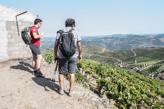 Pinhão Hiking Tour - Start at Pinhão Train Station, Then Get on the Trail With a Local Plan