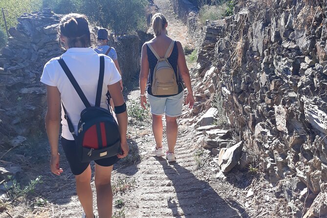 Pinhão Hiking Tour - Picnic Lunch by the River: Homemade Food, Local Products, Wine Included