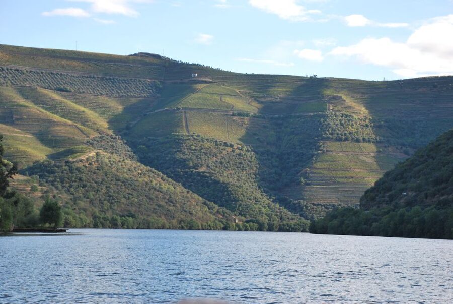 Pinhão: Private Rabelo Boat Tour along the River Douro - Comfort for a Private Group Up to 12
