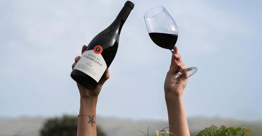 Pinhão: Quinta da Formigosa Vineyard Tour and Wine Tasting - Key Points That Make Quinta da Formigosa Worth Your Time