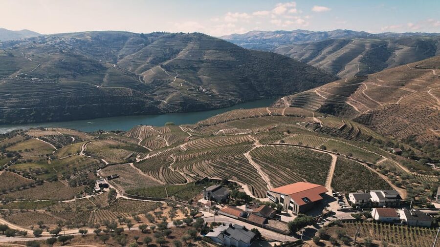 Pinhão: Quinta da Formigosa Vineyard Tour and Wine Tasting - Step 1: Vineyard Walk With Scenic Stops and Vineyard Care Talk