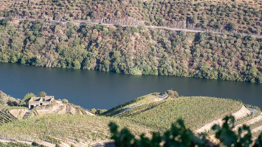 Pinhão: Quinta da Formigosa Vineyard Tour and Wine Tasting - Step 3: The Tasting Room With Douro River Panoramas