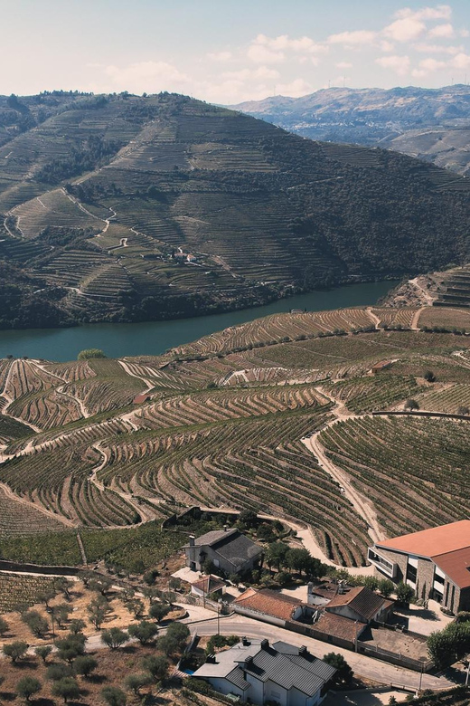 Pinhão: Quinta da Formigosa Vineyard Tour and Wine Tasting - What Small Group and Private Guidance Really Changes