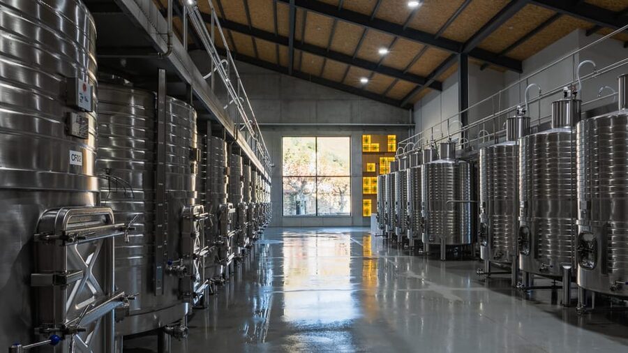Pinhão: Quinta da Formigosa Vineyard Tour and Wine Tasting - When This Tour Makes Sense, and When to Skip It