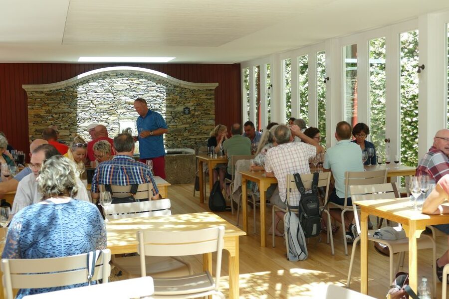 Pinhão: Quinta do Bomfim Visit and Tasting - Why Quinta do Bomfim feels like a smart Upper Douro stop
