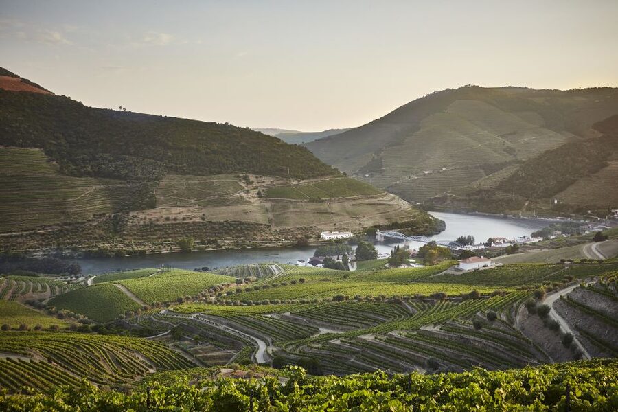 Pinhão: Quinta do Bomfim Visit and Tasting - The old lodge and cellar: where port gets its long-game strength