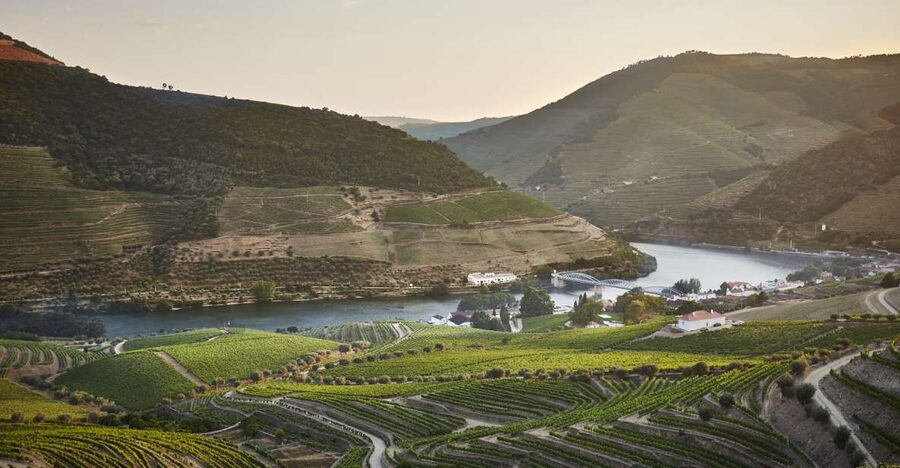 Pinhão: Quinta do Bomfim Visit and Tasting - Museum start: get your bearings fast (and learn the names that matter)