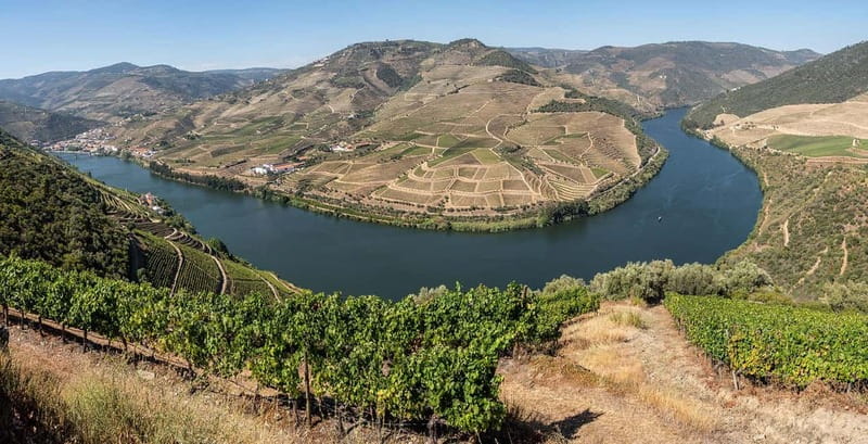 Pinhão: Rabelo Boat Cruise with a Port Tasting at a Winery - Port Tasting of 4 Ports: How to Get the Most From Your Flight
