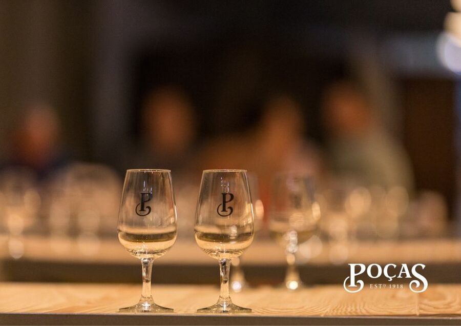 Poças: Guided Tour & Port Wine Tasting with Pastel de Nata - The Tasting Room Segment: Two Ports, Pastel de Nata, and Pairing Clues