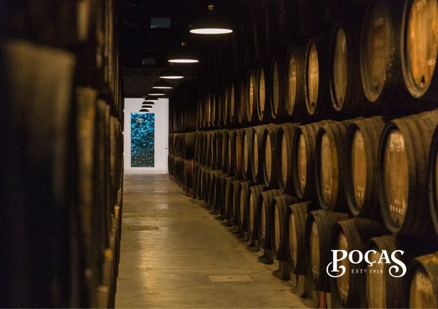 Poças: Guided Tour & Port Wine Tasting with Pastel de Nata - Accessibility and Comfort: A Tour That Fits More Plans