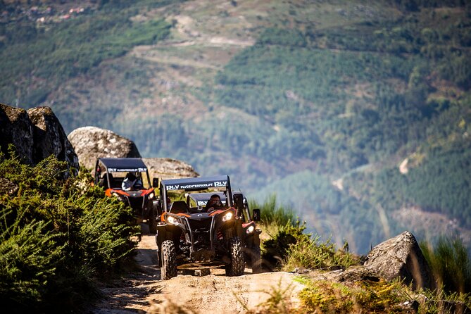 Ponte de Lima Guided Buggy Tour - Quick hits you’ll care about