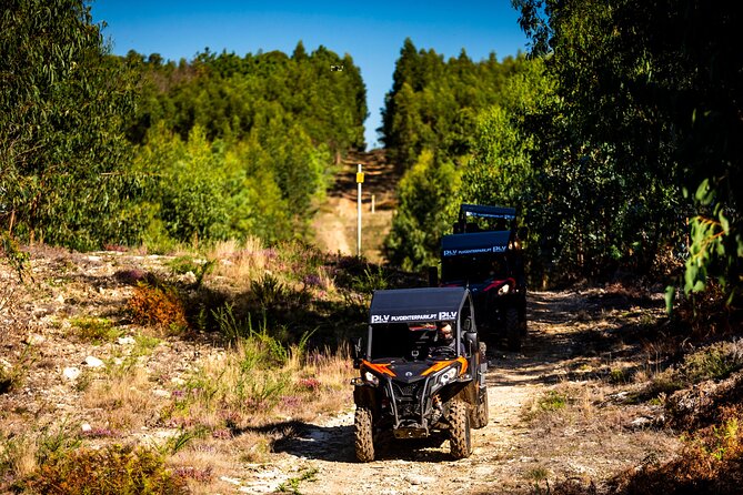 Ponte de Lima Guided Buggy Tour - Stop 2: Viana do Castelo views, the real payoff