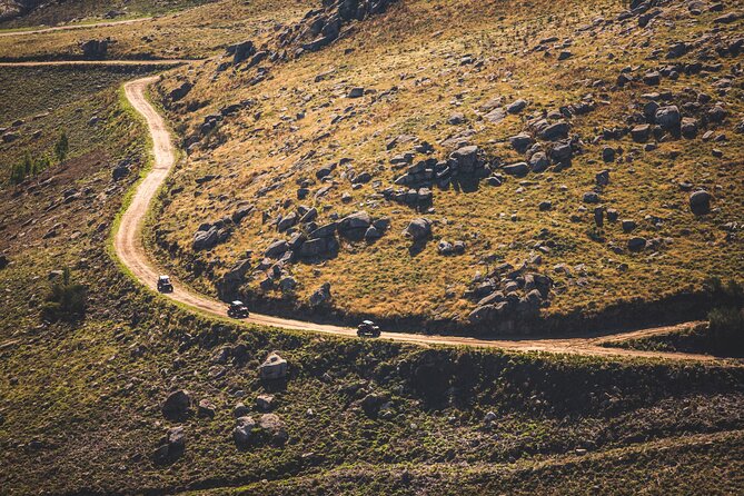 Ponte de Lima Guided Buggy Tour - Your buggy experience: driving the hills, not just riding them