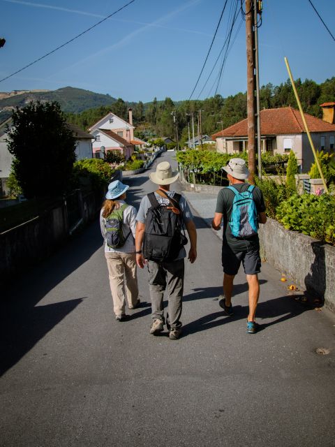 Ponte de Lima: treasures from the oldest village of PT - Key highlights to know before you go