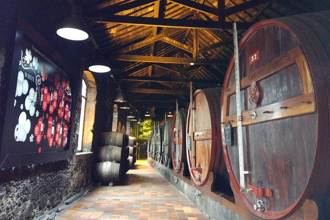 Port Wine Lodges Tour Including 7 Port Wine Tastings (English) - What the best guides tend to do on this tour