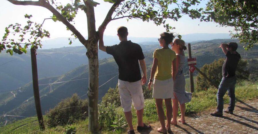 Porto: 3 Douro Valley Vineyards Tour with Lunch - Key things to know before you go