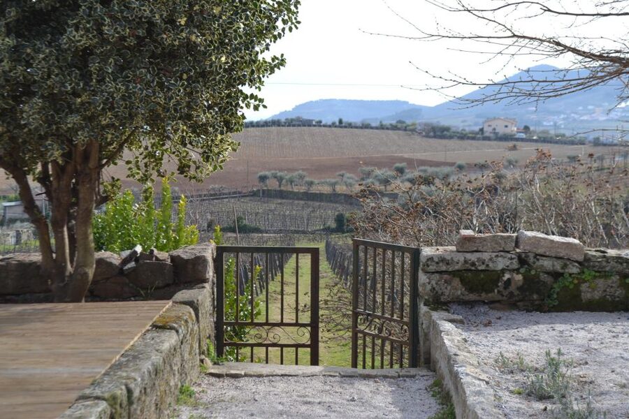 Porto: 3 Douro Valley Vineyards Tour with Lunch - Lunch at the second vineyard: local Portuguese flavors with wine included